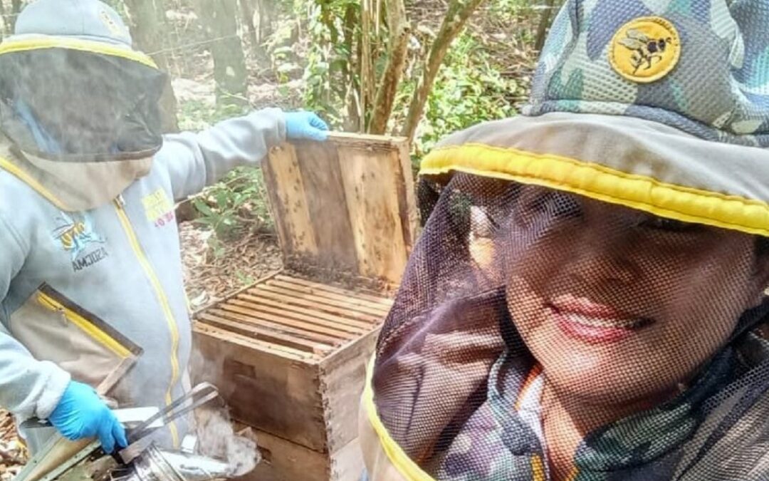 Apicultores de Casanare adquieren estatus