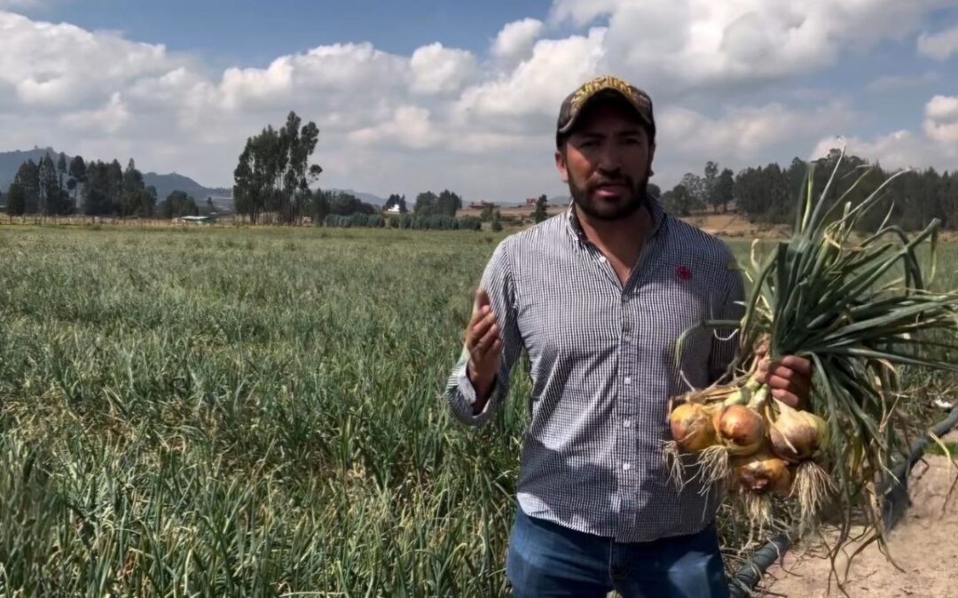 Lo que dice César Pachón sobre la visita diplomática del presidente Gustavo Petro a China #Tolditos7días