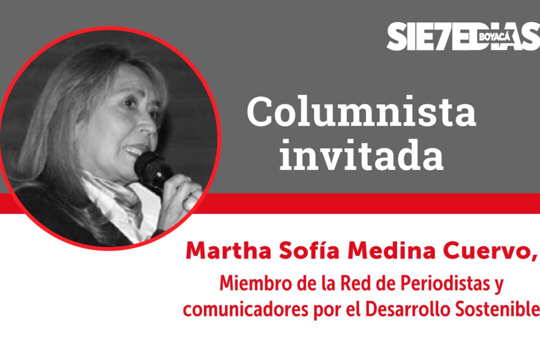 Red de Periodistas por el Desarrollo Sostenible de Cecodes, sostenibilidad, comunicación y transformación – Martha Sofia Medina #ColumnistaInvitado
