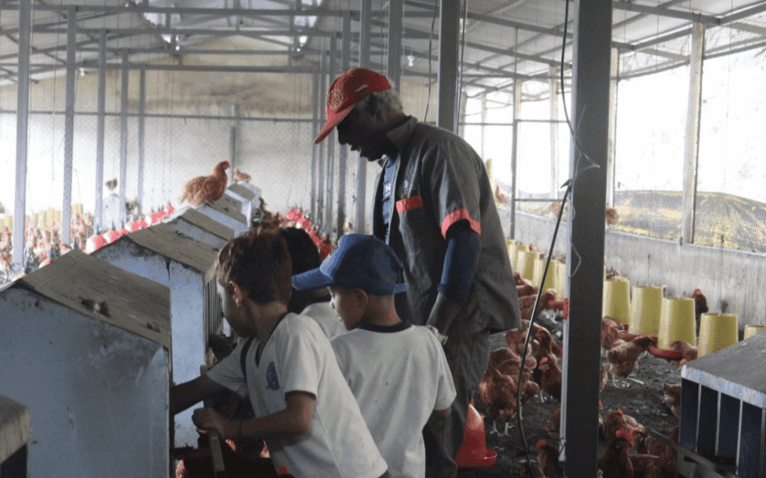 La inversión social de la multinacional Fura en el occidente de Boyacá