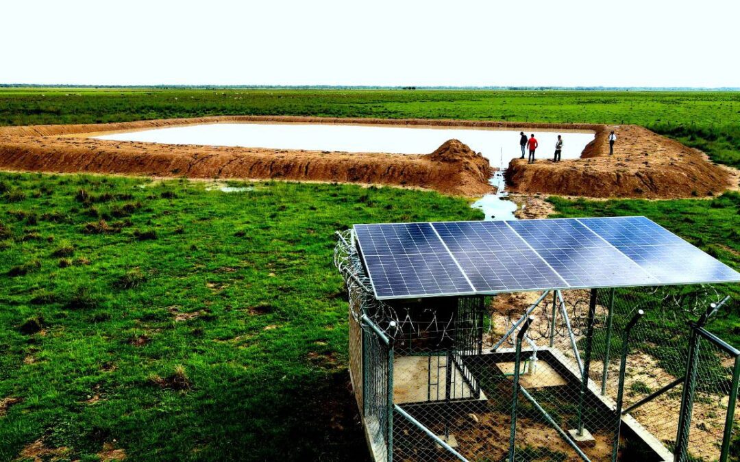 En operación nuevo ecosistema para fauna silvestre en el norte de Casanare
