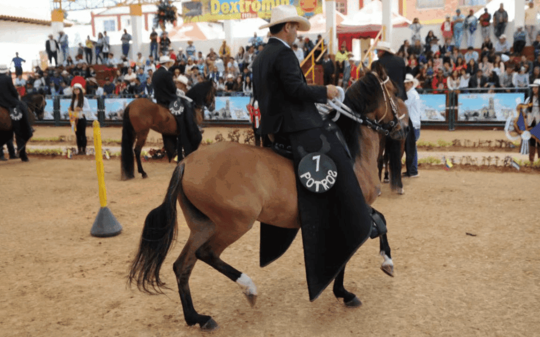 Gastronomía, arte y paso fino: Jenesano vive un fin de semana de fiesta y tradición