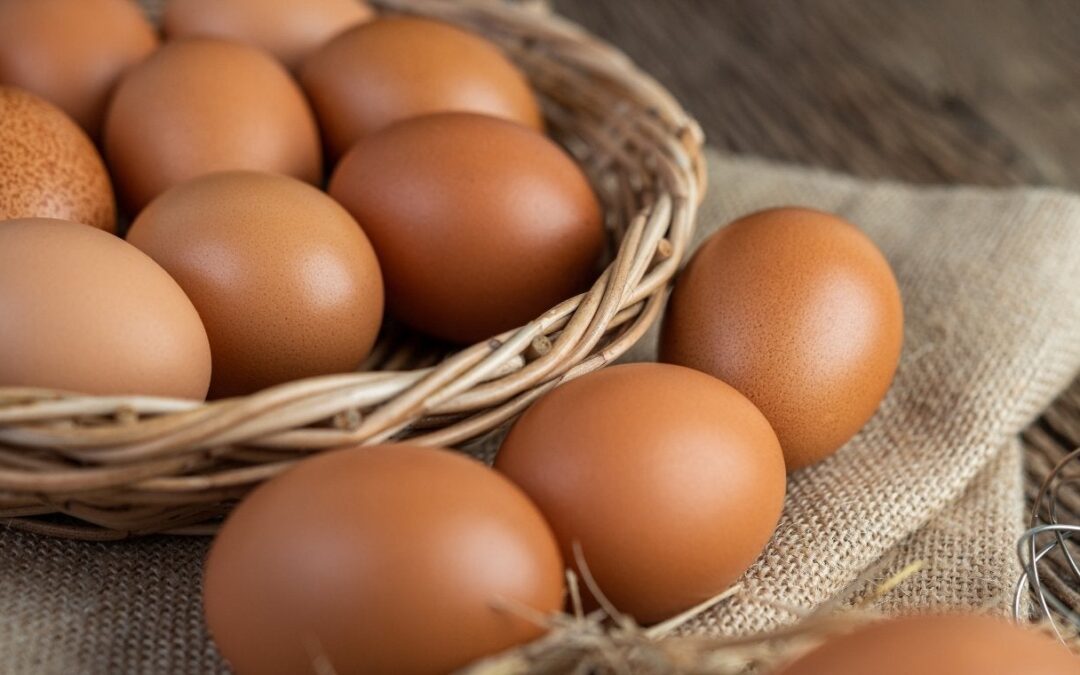 EE. UU. autoriza exportación de huevo colombiano para uso industrial