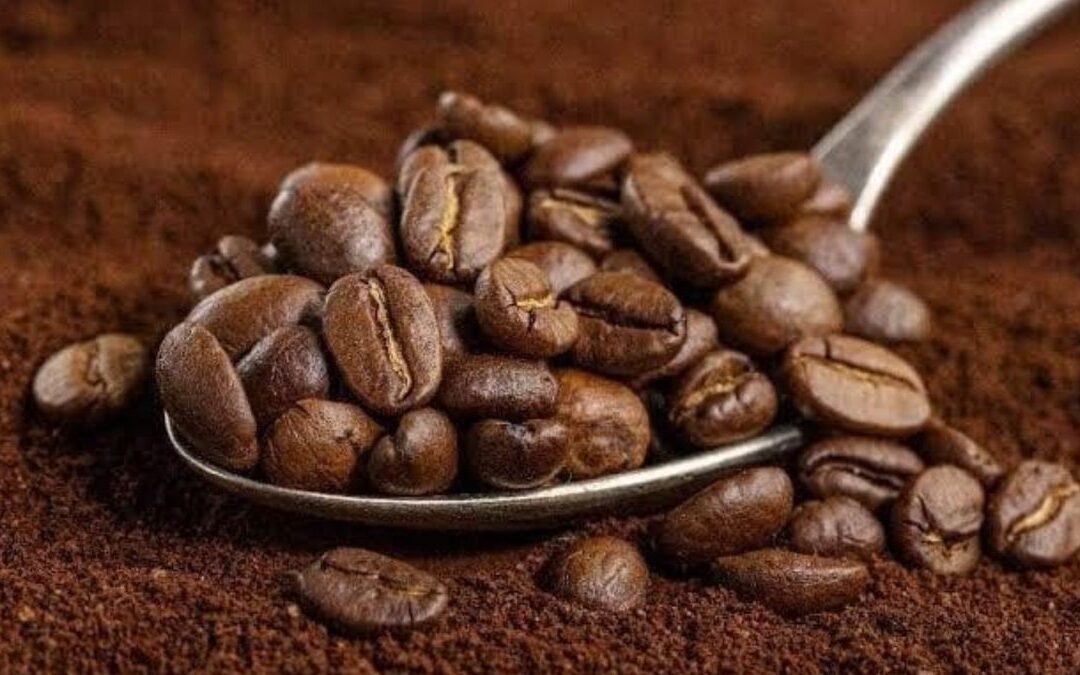 Precio del café en Colombia se mantiene alto mientras productores siguen atentos al mercado