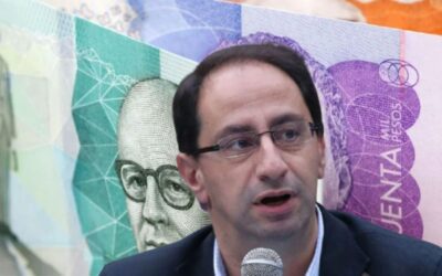 ¿Por qué la emergencia económica del Gobierno no cumpliría los requisitos constitucionales?