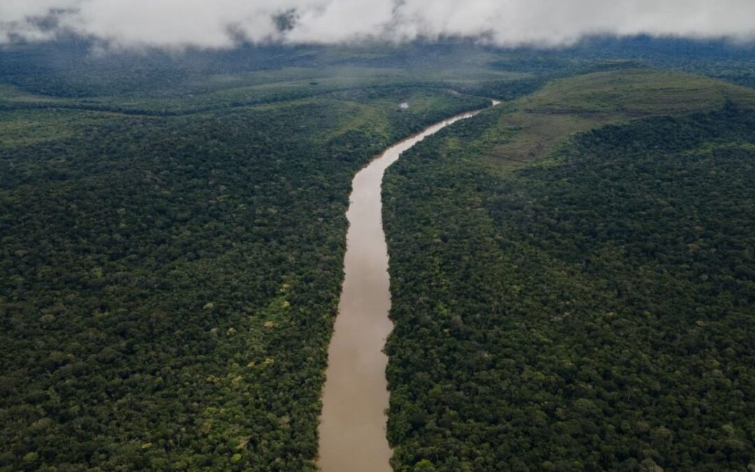 En 2025 la deforestación en la Amazonía se redujo un 25%, pese al esfuerzo persisten zonas críticas