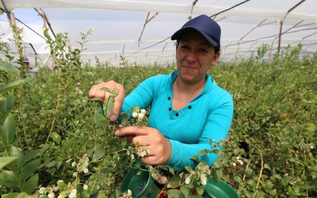 Gobernación de Boyacá dio apertura a la convocatoria Fondo Finca para apoyar proyectos del sector agropecuario