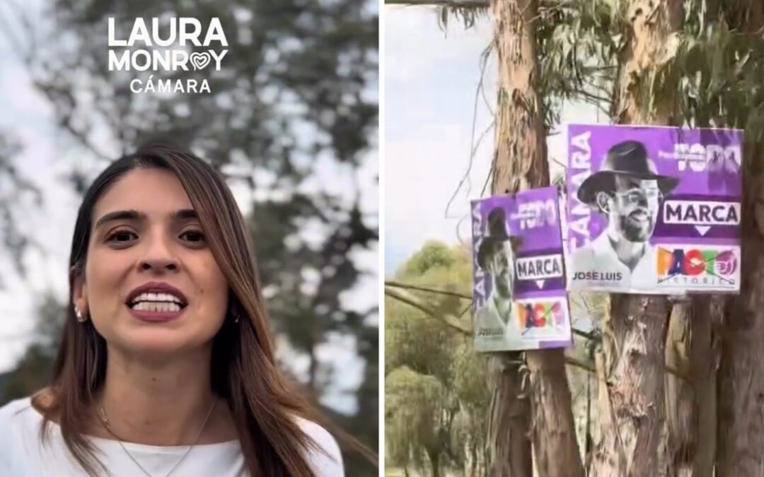 Ante Corpoboyacá denuncian posible afectación ambiental, ocasionada por elementos publicitarios del candidato José Luis Bohórquez