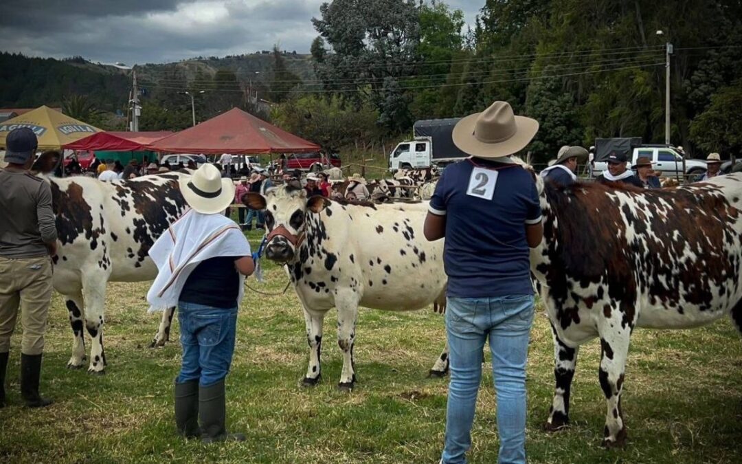 La Feria Ganadera marcó el pulso rural de las Ferias y Fiestas de Busbanzá 2026