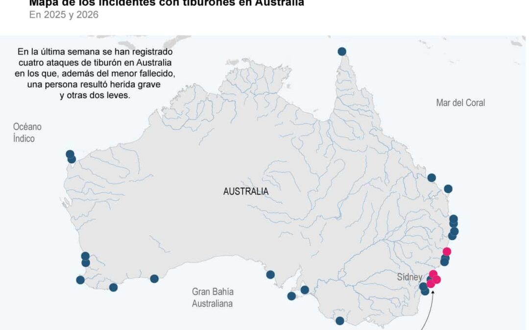 [Infografía] Fallece un niño de 12 años hospitalizado tras un ataque de tiburón en Sídney