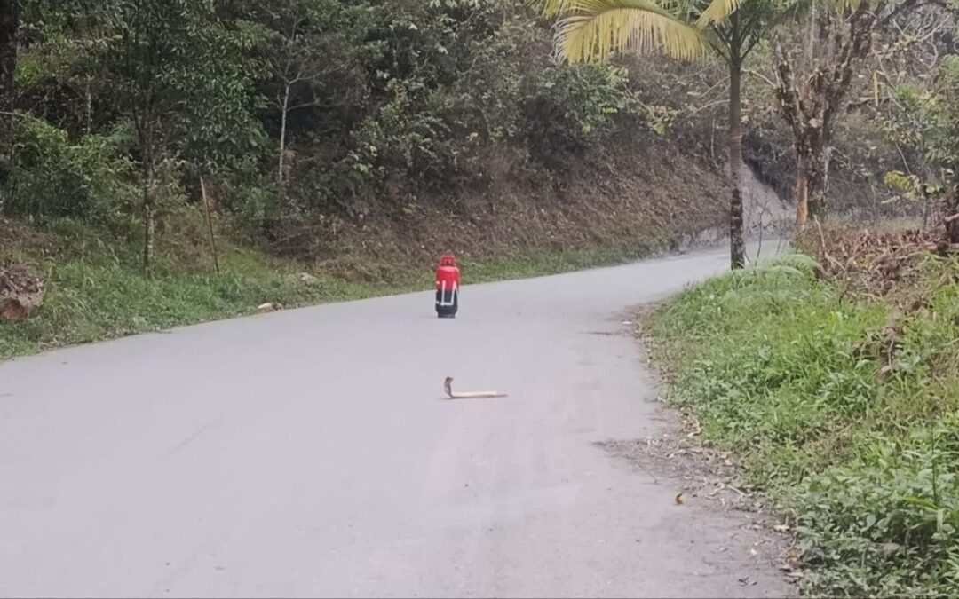 Autoridades investigan cilindro sospechoso abandonado en la entrada del municipio de Chivor, en el oriente de Boyacá