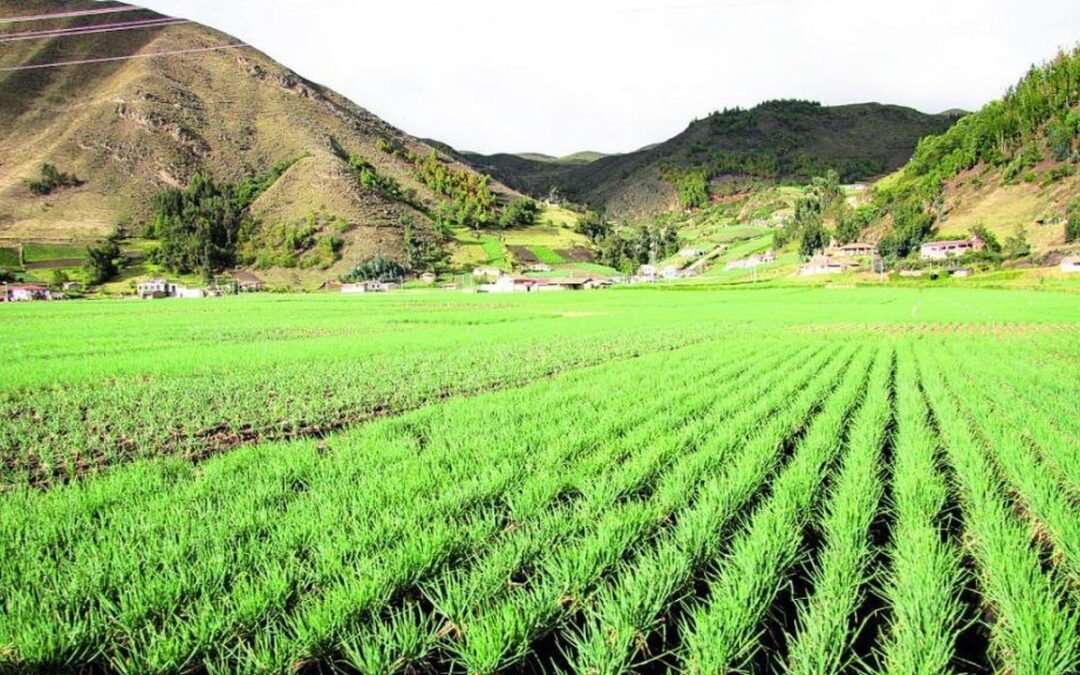 Avalúos de predios rurales: una decisión nacional que pondrá en aprietos a los alcaldes