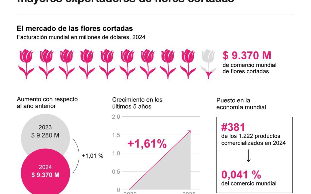 [Infografía] Países Bajos, Colombia y Ecuador son los mayores exportadores de flores cortadas