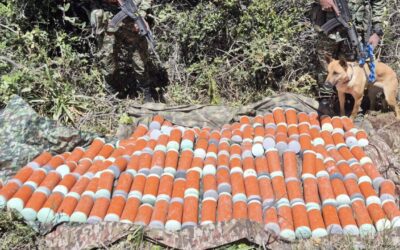 Ejército Nacional destruye depósito con 146 explosivos en zona rural de Tasco