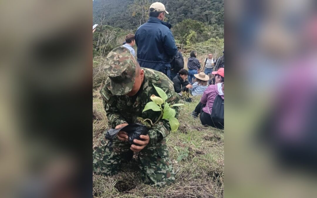 El Ejército lideró jornadas de reforestación en Saboyá e Iguaque