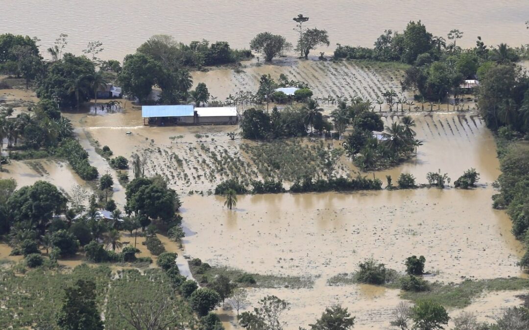 Inundaciones amenazan el corazón bananero de Colombia con más de 1.200 hectáreas afectadas