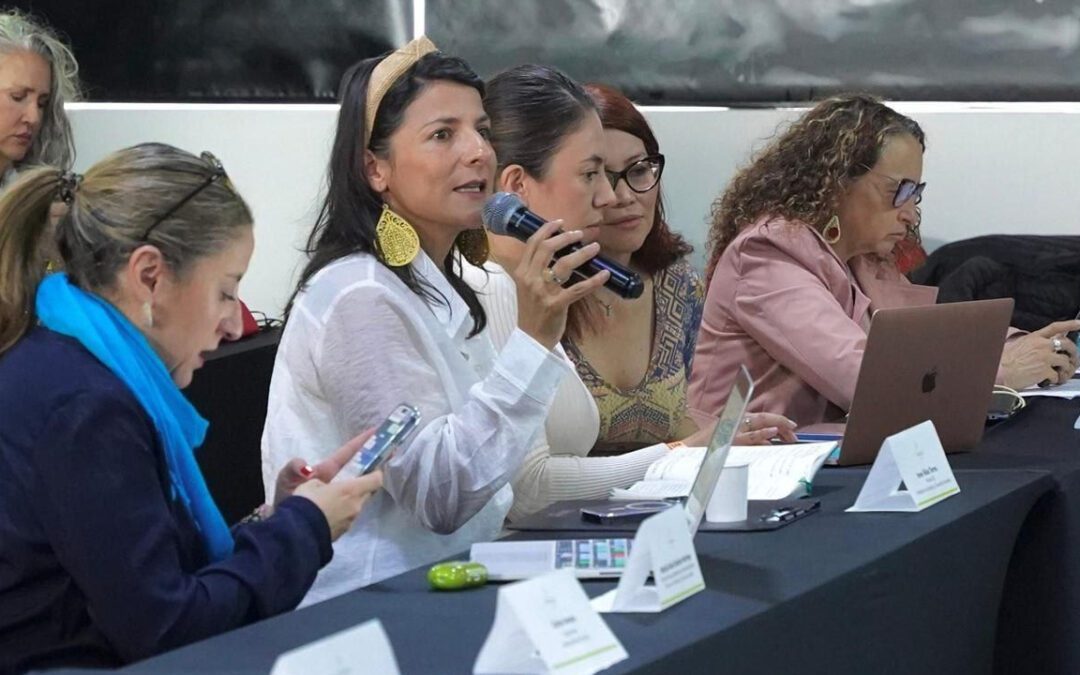 Avanzan las mesas de diálogo para definir consensos en torno a la protección del páramo de El Cocuy