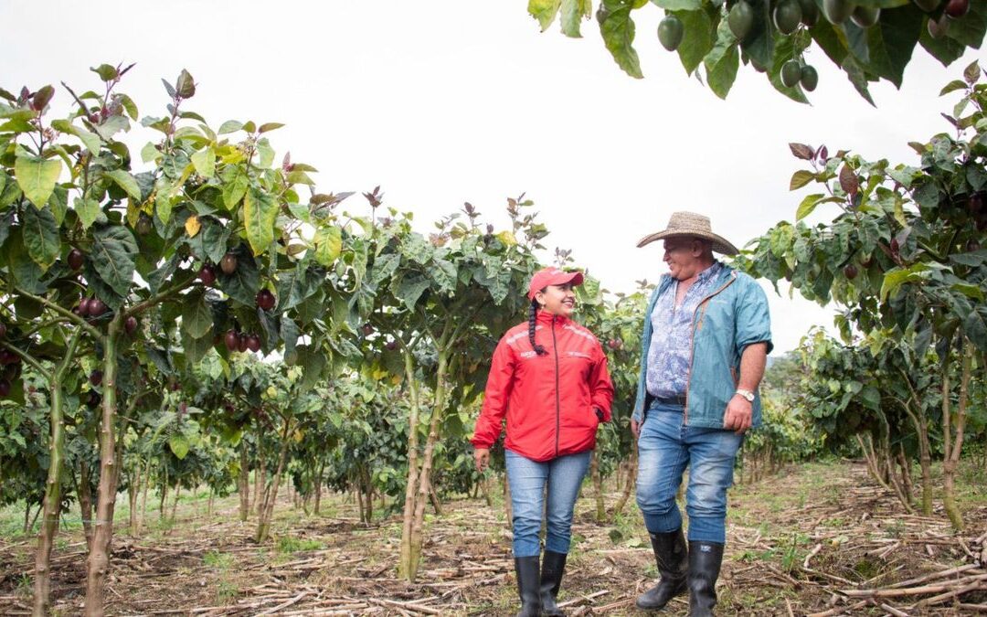 Bancamía desembolsó $1,7 billones en microcréditos en 2025 y amplió su alcance entre emprendedores