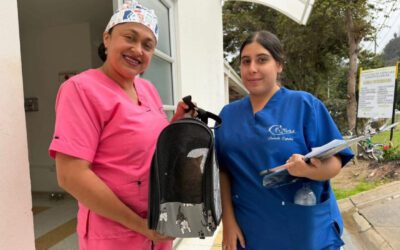 Una jornada masiva de esterilización de perros y gatos se adelanta en Boyacá
