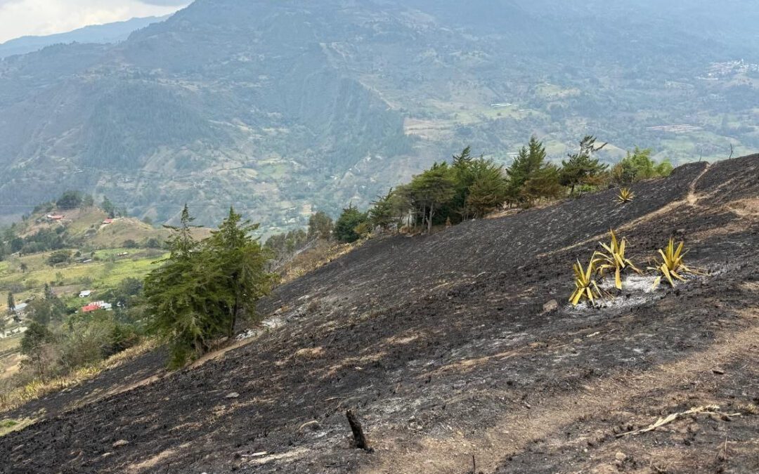 Alerta en Boyacá por las quemas controladas: se han registrado 14 incendios en lo corrido de marzo