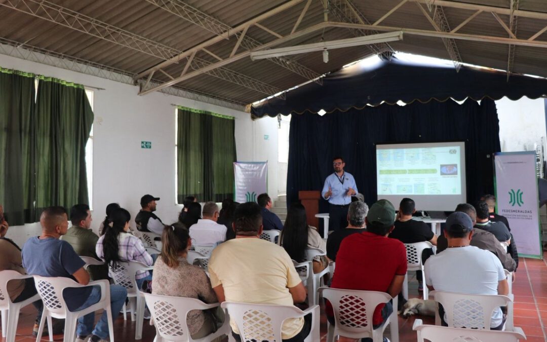 Actores del sector esmeraldero boyacense se capacitaron en narrativa, comercialización y posicionamiento mercados digitales