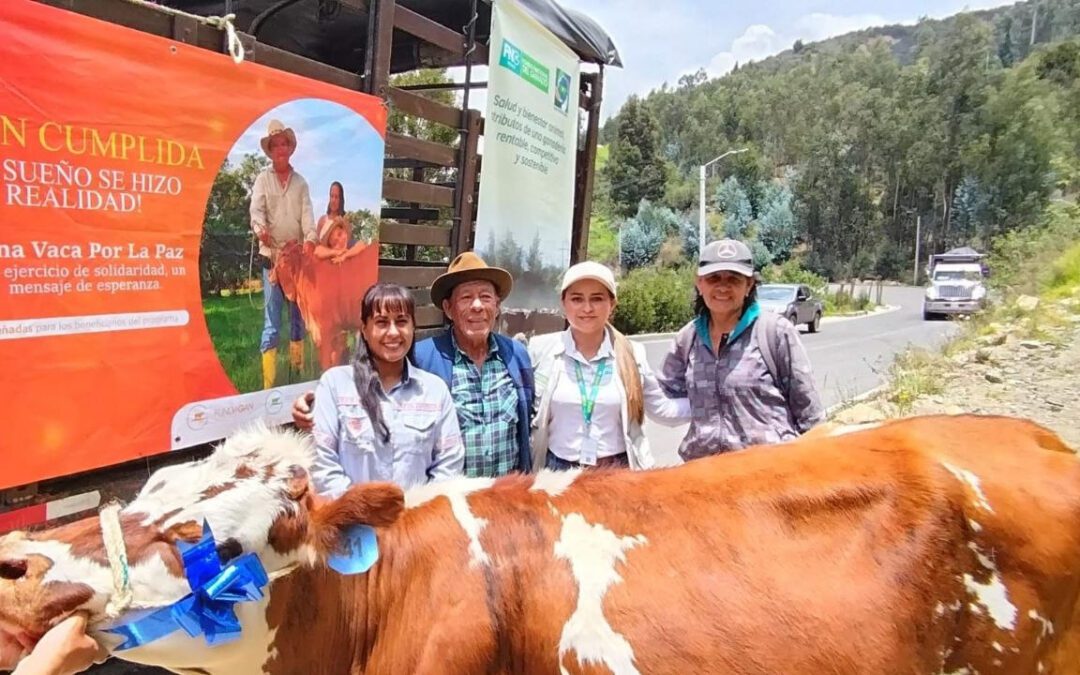 ‘Una vaca por la paz’, el programa solidario que llega a Boyacá para apoyar a familias campesinas #Tolditos7Días