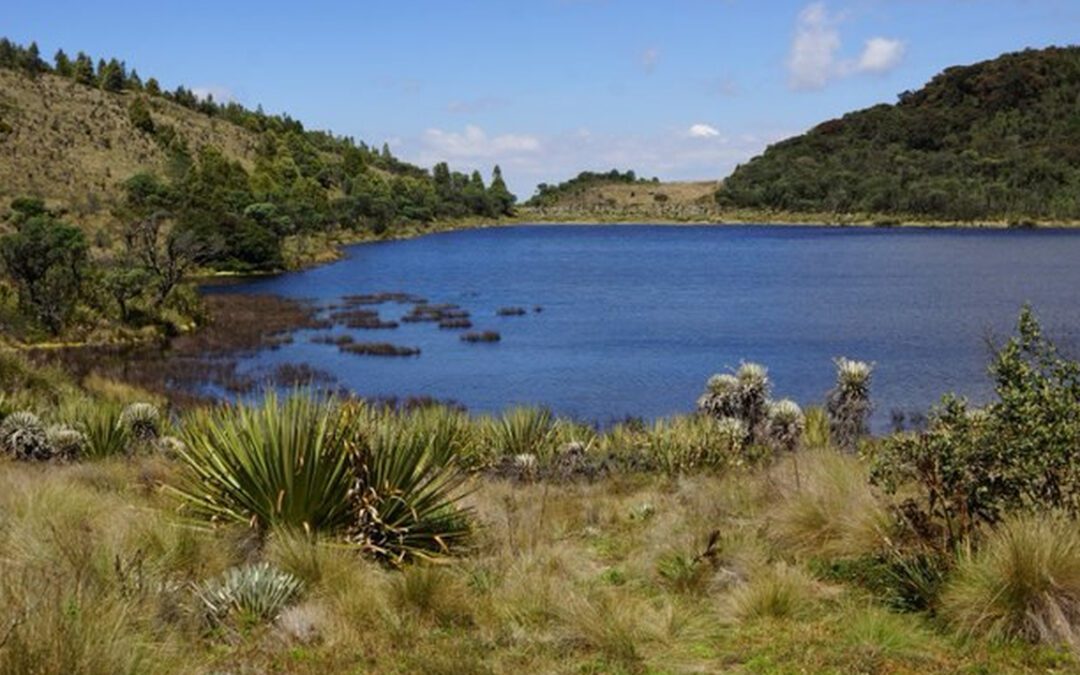 Corpochivor realiza inventario de biodiversidad en el Páramo de Rabanal, jurisdicción de Ventaquemada