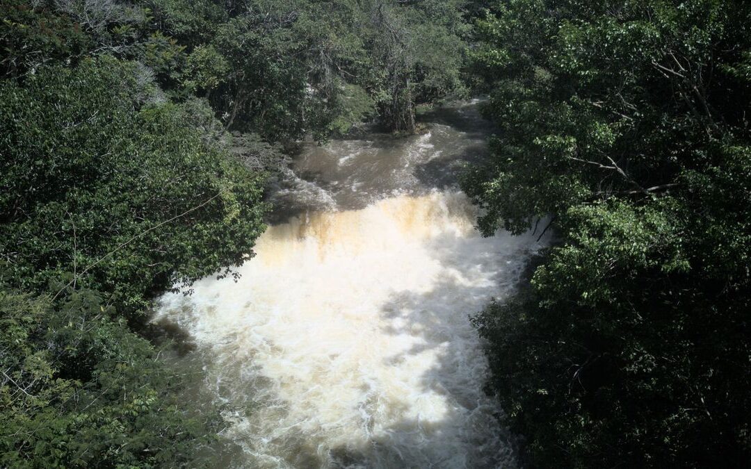 Semana Santa 2026: Quindío, San Andrés y Cartagena lideran proyección de ocupación hotelera en Colombia