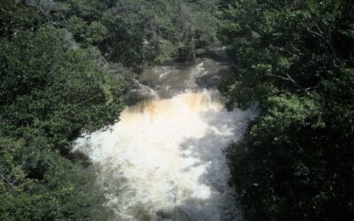 Semana Santa 2026: Quindío, San Andrés y Cartagena lideran proyección de ocupación hotelera en Colombia