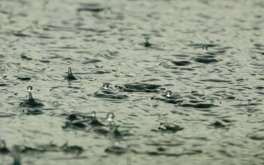 Generadores envían carta al Gobierno ante posible Fenómeno de El Niño a mitad de año y piden medidas para evitar riesgos en el sistema eléctrico