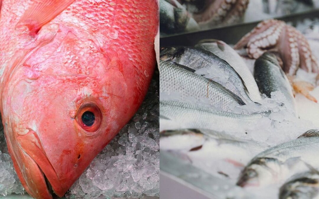 ¡Alerta en Semana Santa! Autoridades del Atlántico refuerzan controles para evitar intoxicaciones por consumo de pescado