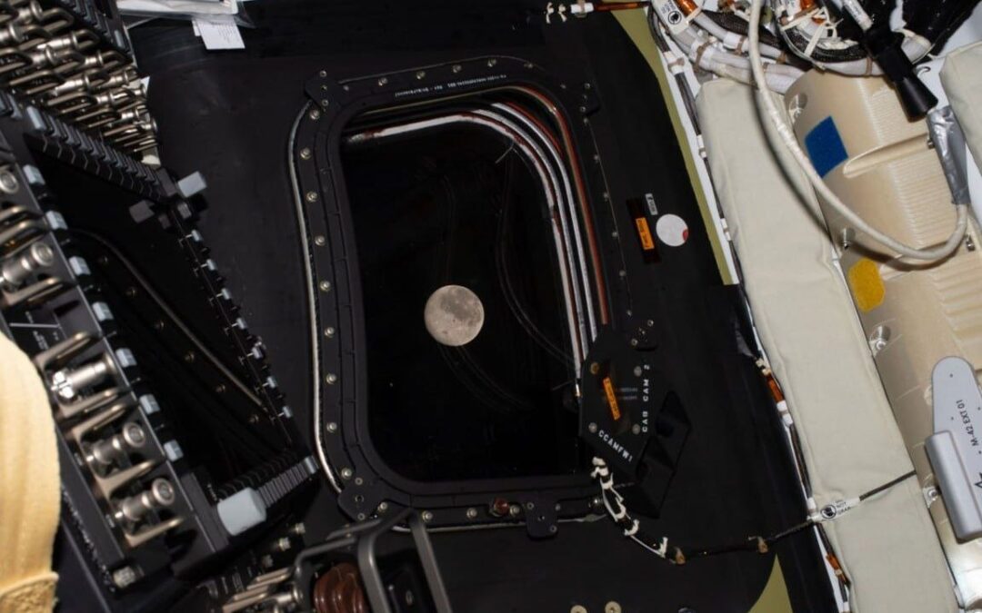 La Luna como nunca la ha visto nadie, Artemis II sobrevuela hoy su cara oculta