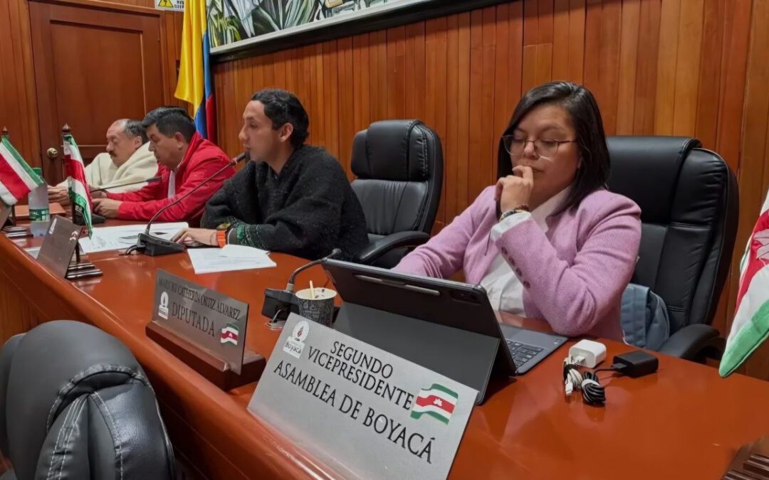 Mayorías en la Asamblea de Boyacá hundieron proyectos de ordenanza de la oposición #Tolditos7Días
