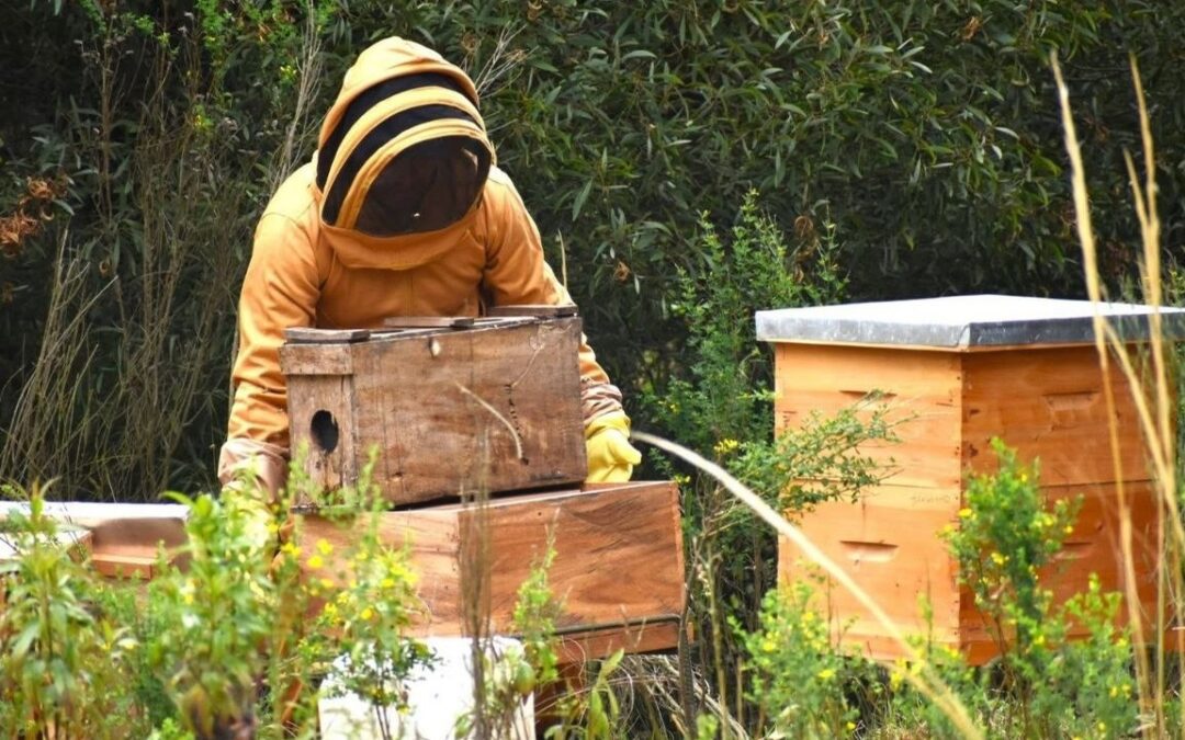 Los proyectos comunitarios que Urbaser ha venido apoyando en Pirgua y sectores de Oicatá