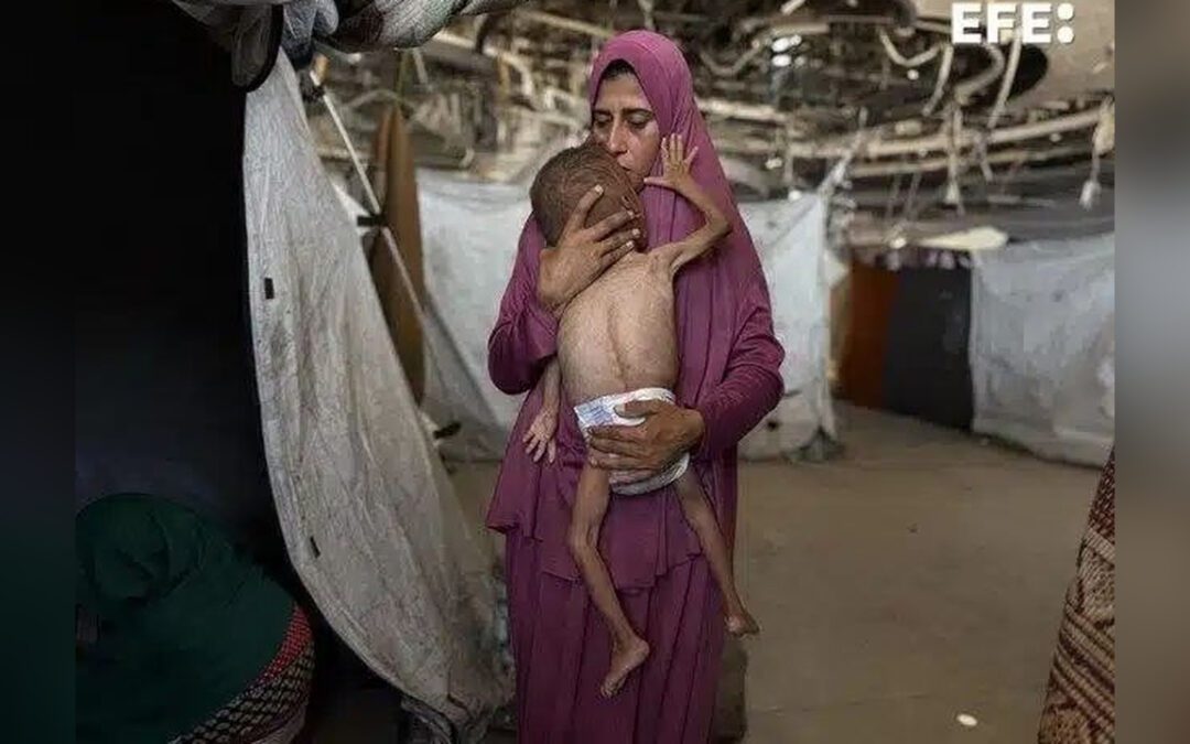 Expertos de la ONU acusan a Israel de perpetuar el sufrimiento de los desplazados en Gaza