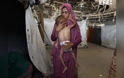 Expertos de la ONU acusan a Israel de perpetuar el sufrimiento de los desplazados en Gaza