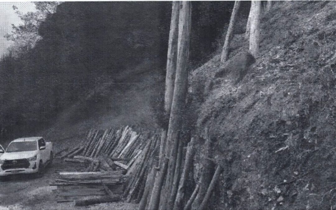 Hallan explotación ilegal de fosforita en la vereda El Pedregal de Sogamoso #Tolditos7Días