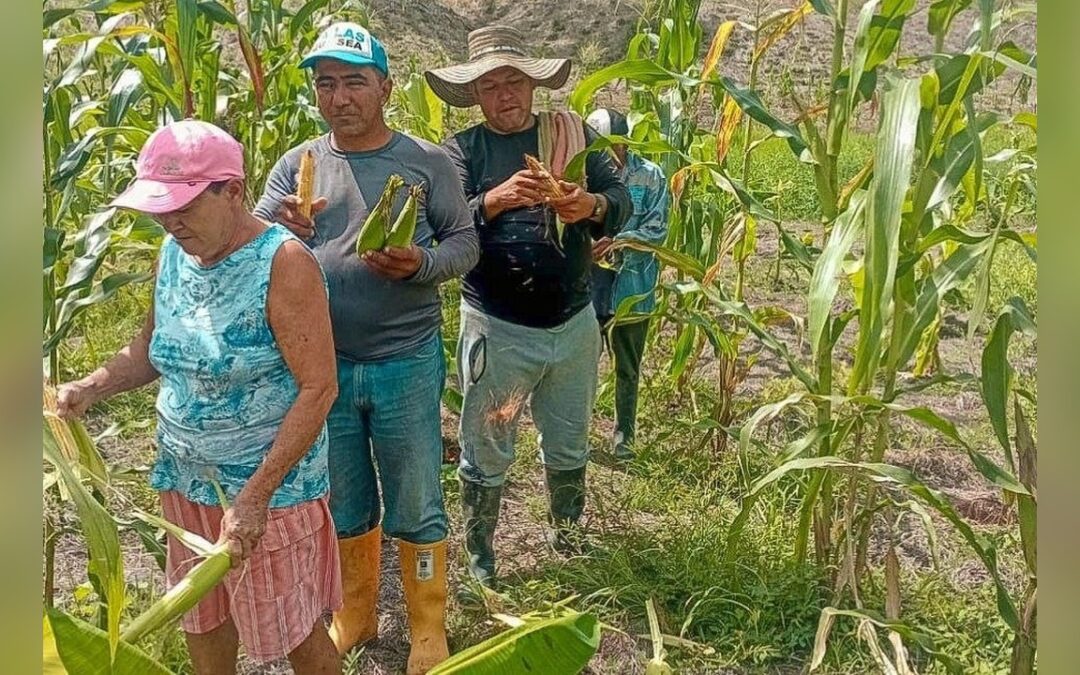 Campesinos de Puerto Boyacá convierten tierras afectadas por el conflicto armado en predios para la producción de alimentos
