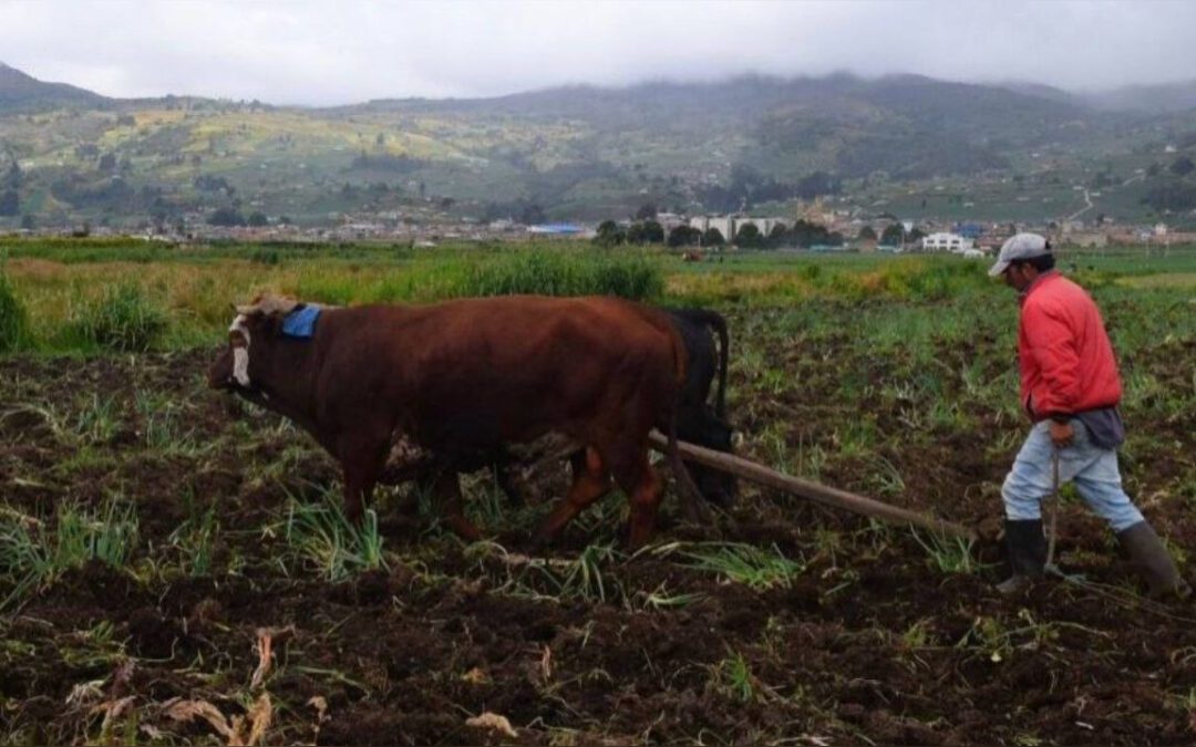 Boyacá retoma convocatoria para financiar proyectos del sector rural