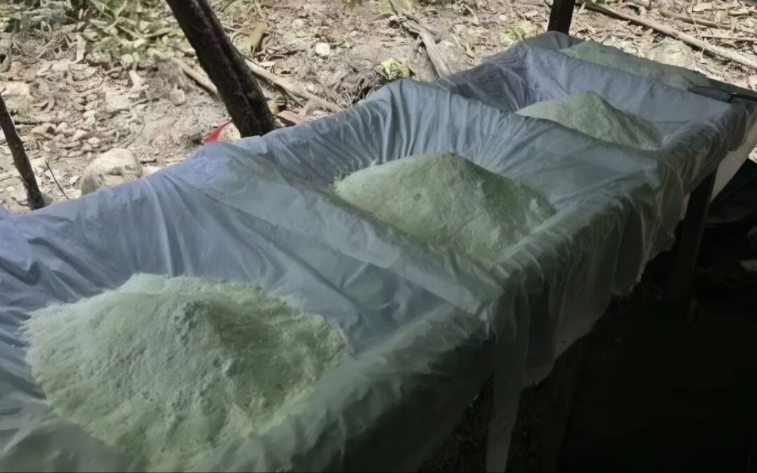 Golpe al narcotráfico en Boyacá en plena Semana Santa #Tolditos7Días