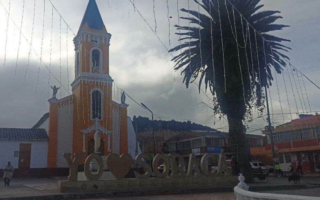 Con tutela obligan a Inspección de Policía de Soracá a actuar ante maltrato animal #Tolditos7Días