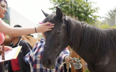 Sogamoso formaliza plan para reemplazar vehículos de tracción animal por alternativas eléctricas