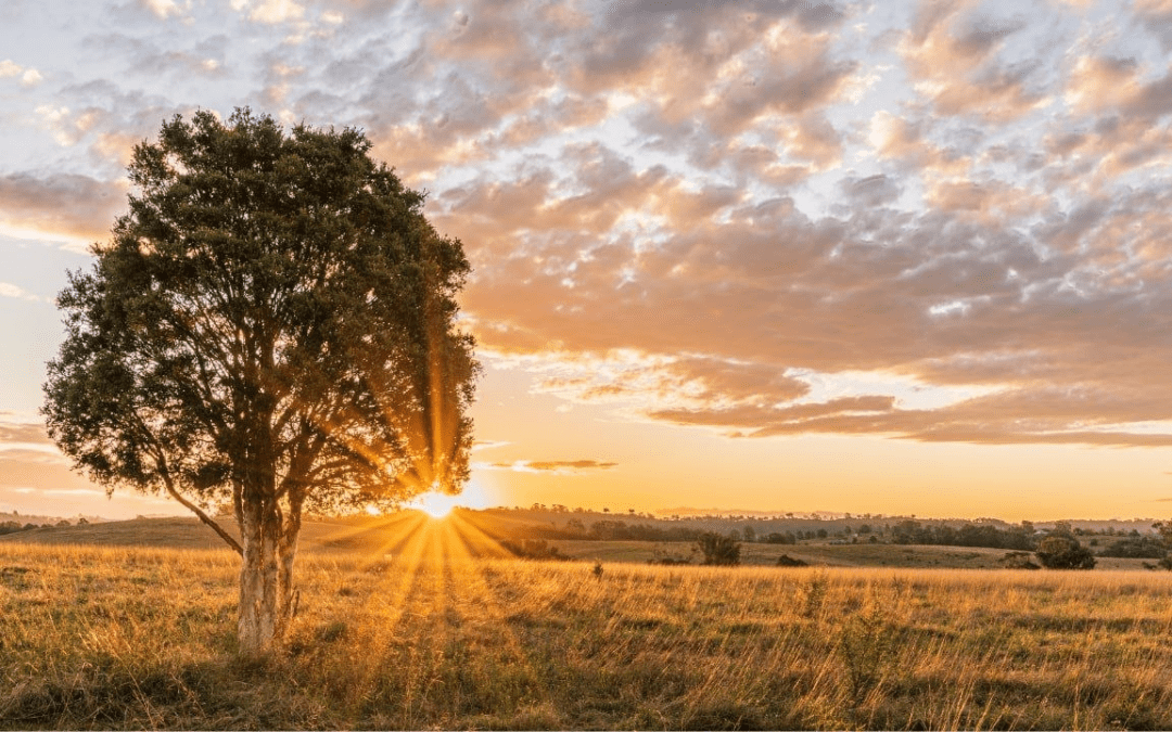 La trampa del Día de la Tierra 2026: la tecnología que usamos para cuidar el planeta también lo está destruyendo