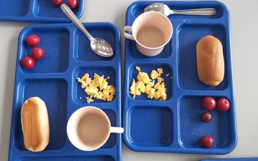 PAE bajo la lupa: Contraloría detecta millonarios hallazgos y alerta por situación laboral de manipuladoras de alimentos