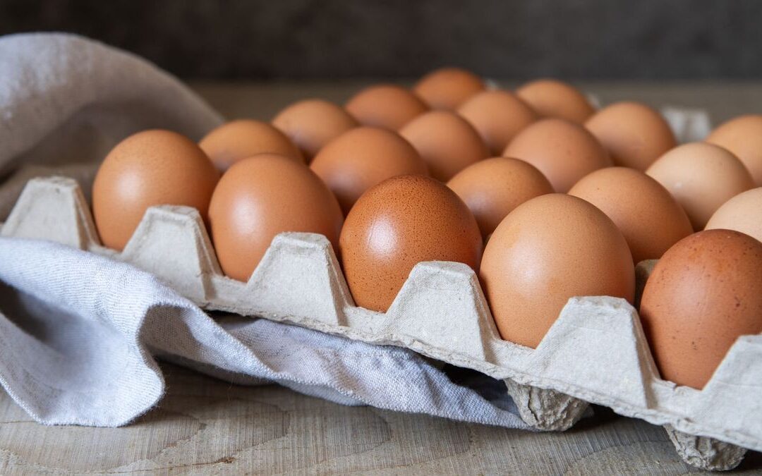 ¿Por qué sube y baja el precio del huevo en Colombia? Esto dice el sector avícola