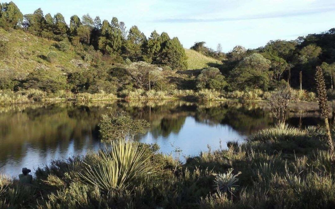 Consejo de Estado admitió demanda contra decreto relacionado con las Zonas de Reserva Campesina