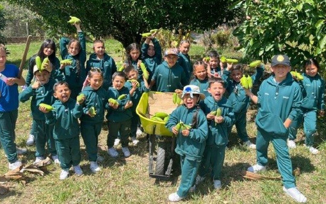 Estudiantes de Chinavita son finalistas en concurso mundial de huertas escolares