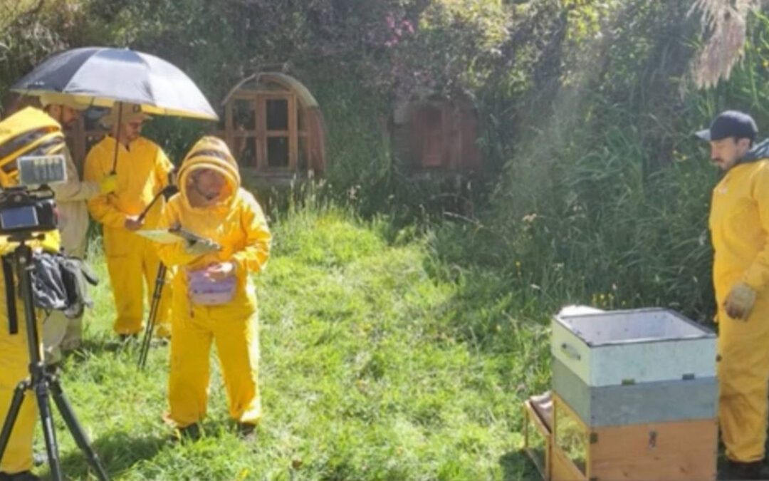 UPTC logra dos nuevas patentes para fortalecer la apicultura y proteger a las abejas en Boyacá