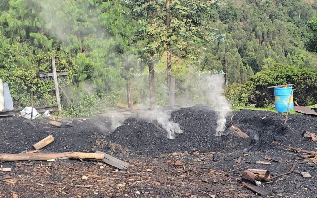 CAR advierte sobre la persistencia de quemas ilegales para producción de carbón vegetal en Ráquira