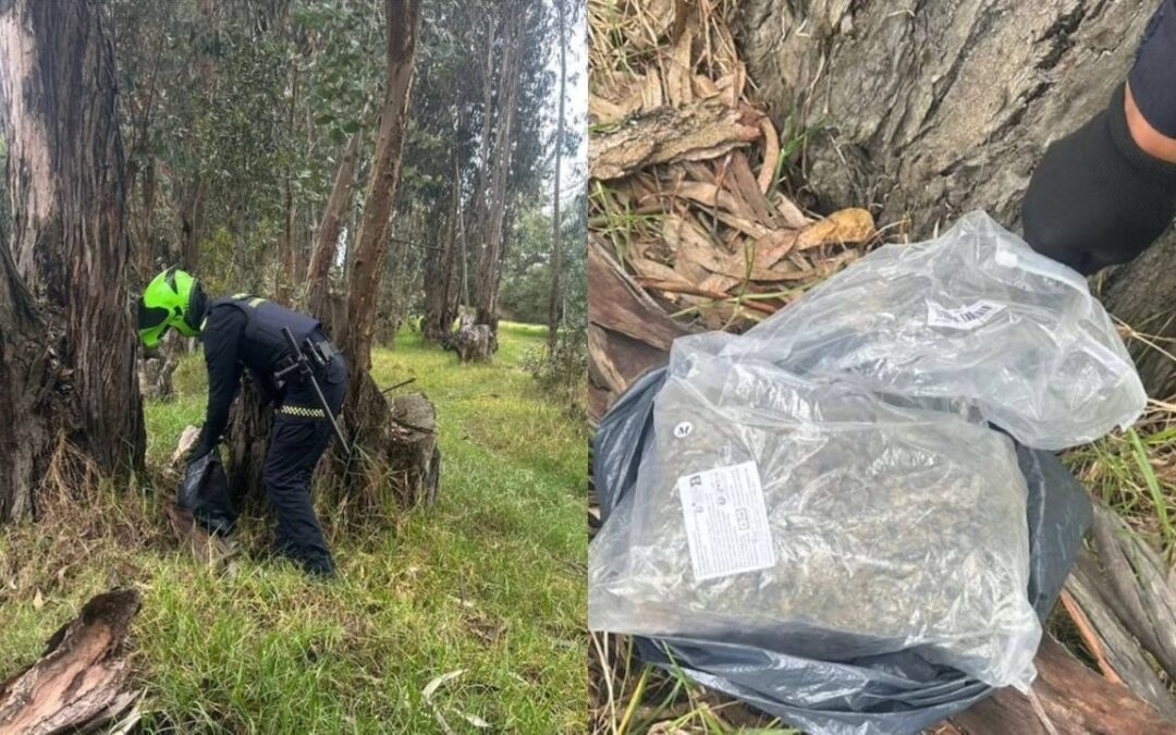 Abandonaron más de medio kilo de marihuana durante operativo en el Parque del Sur de Sogamoso